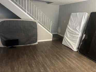Need roommates to fill apartment