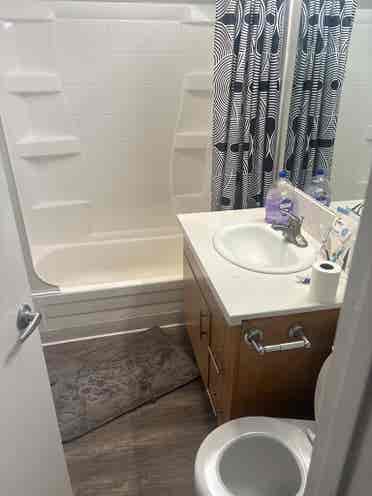 Need roommates to fill apartment