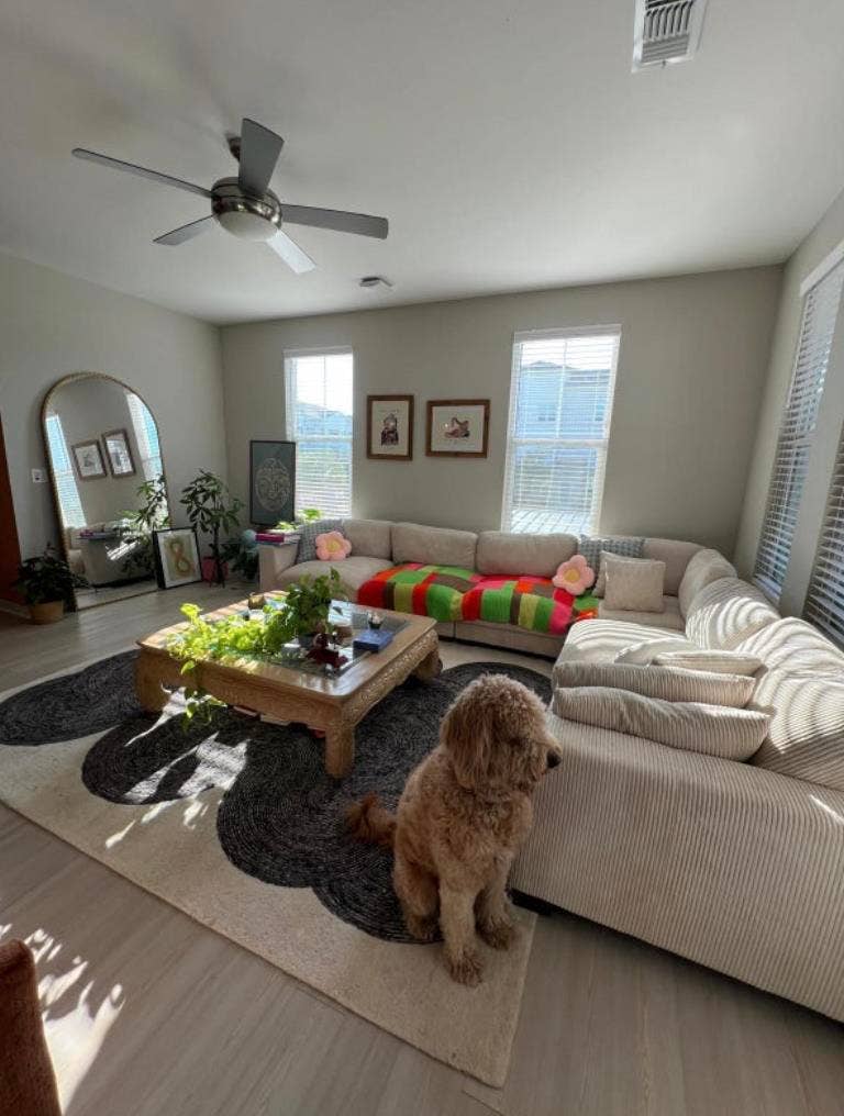 Room for Rent/Clearwater-Furnished