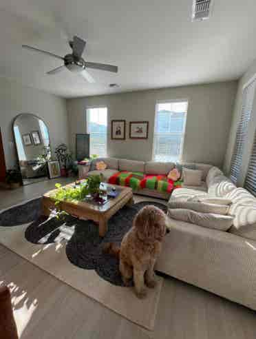 Room for Rent/Clearwater-Furnished