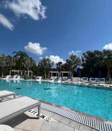 Room for Rent/Clearwater-Furnished