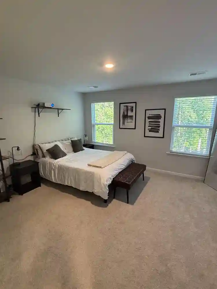 Master Suit + Projector for movies