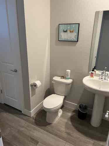 Entire Basement for Rent!