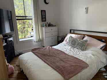 1bedroom apartment in Crown Heights