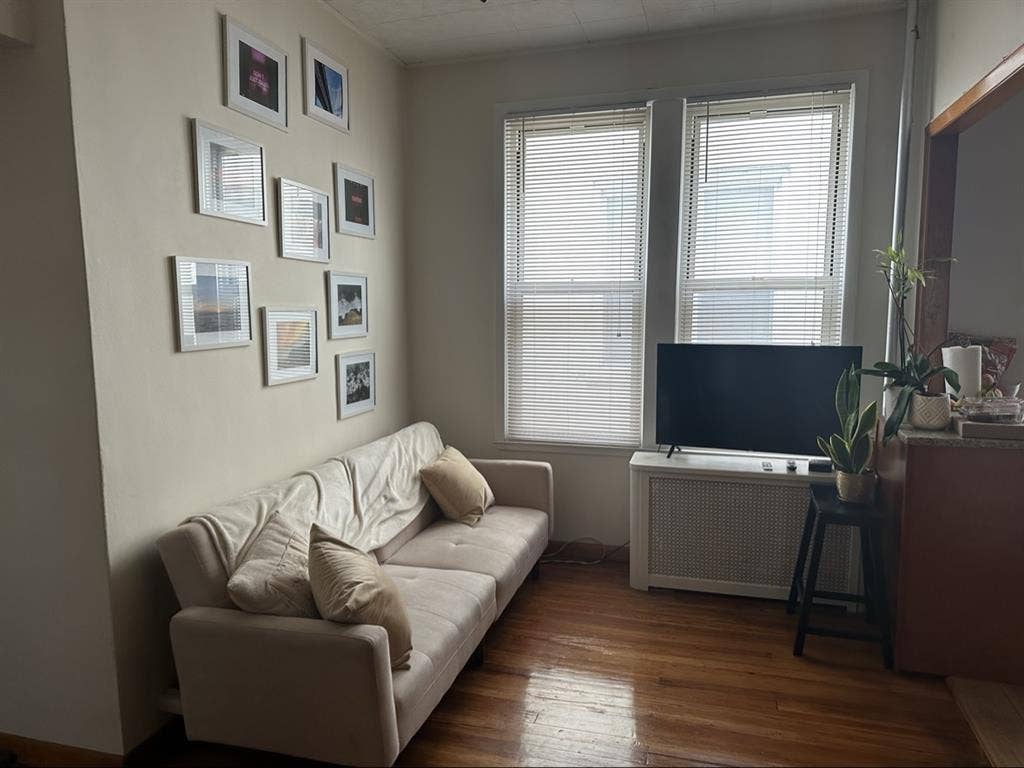 Cute and Clean Apartment