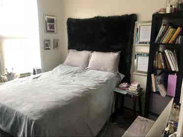 Cute and Clean Apartment