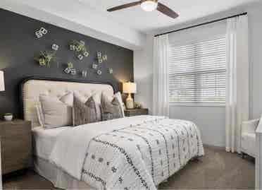 Beautiful Apartment with amenities