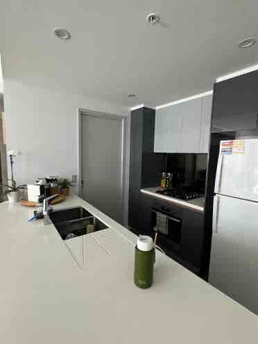 Spacious one bedroom apt- Sydney,