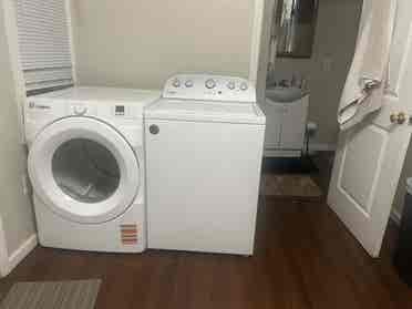 roommate needed