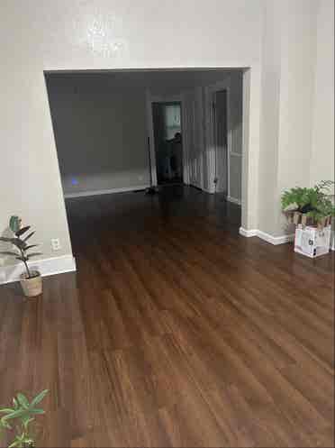 roommate needed