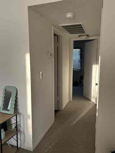 Private room in Lutz