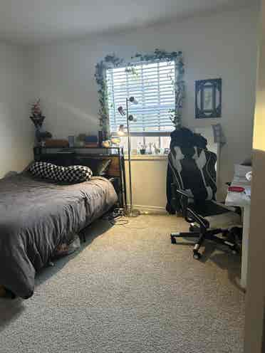 Private room in Lutz