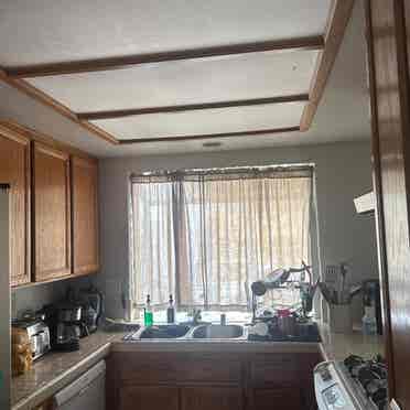Looking for someone to move in asap
