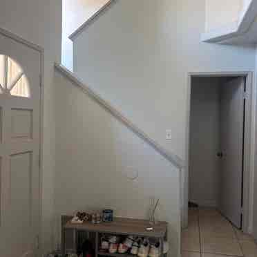 Looking for someone to move in asap