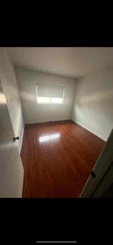 Looking for someone to move in asap
