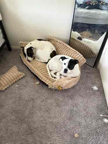 ROOM FOR RENT :)