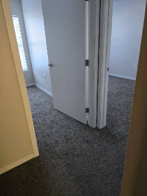 Need a roommate asap