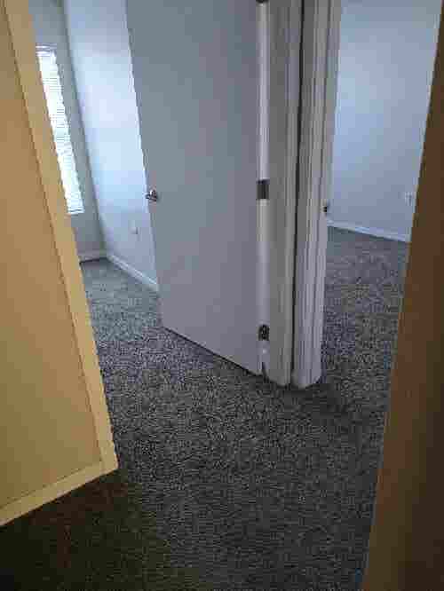 Need a roommate asap