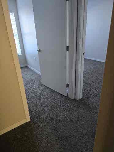 Need a roommate asap