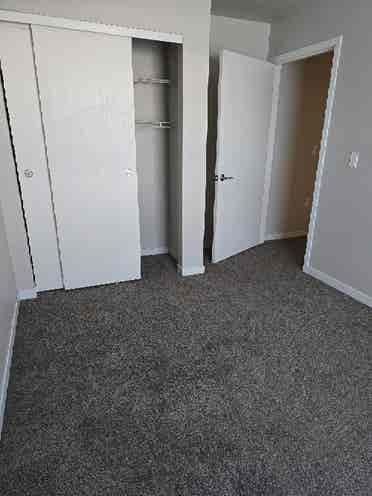 Need a roommate asap