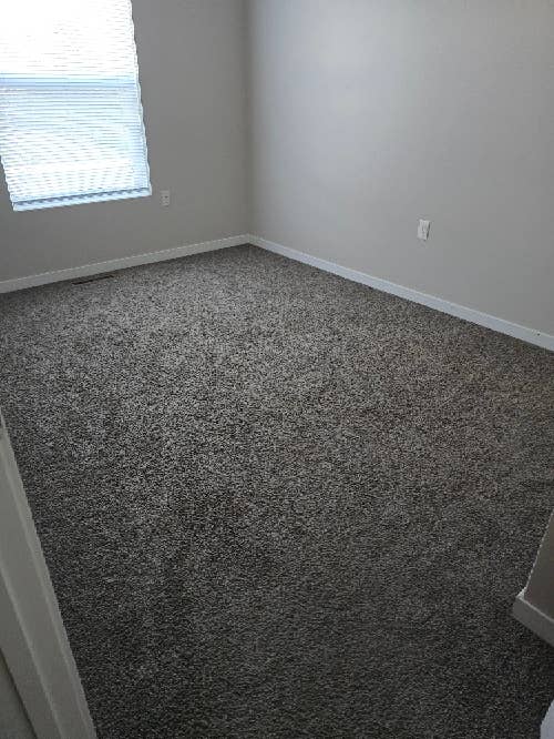 Need a roommate asap
