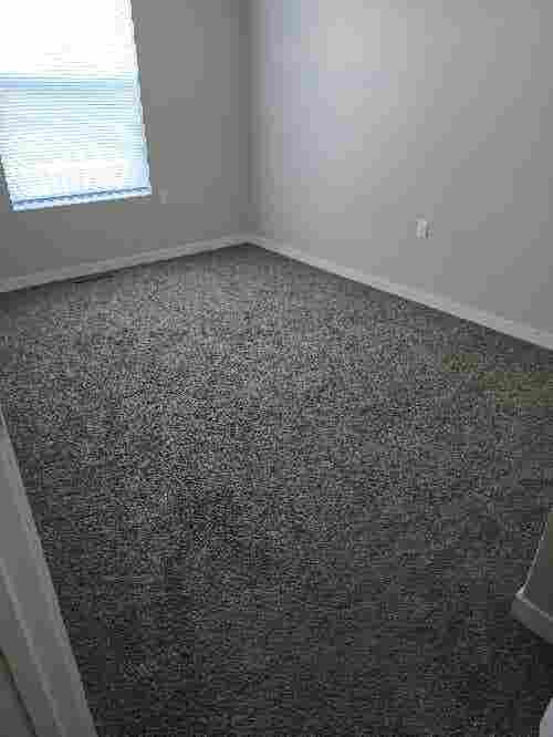 Need a roommate asap