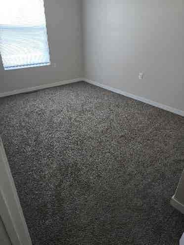 Need a roommate asap