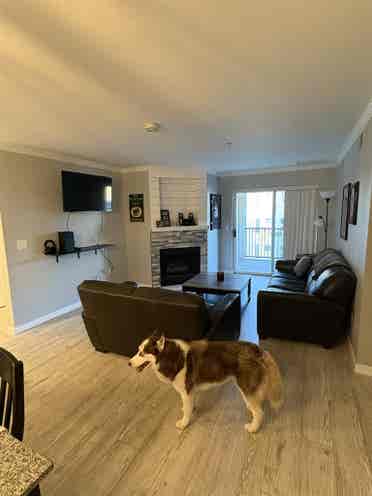 Private Room for Rent