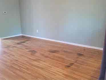 looking for two cool roommates