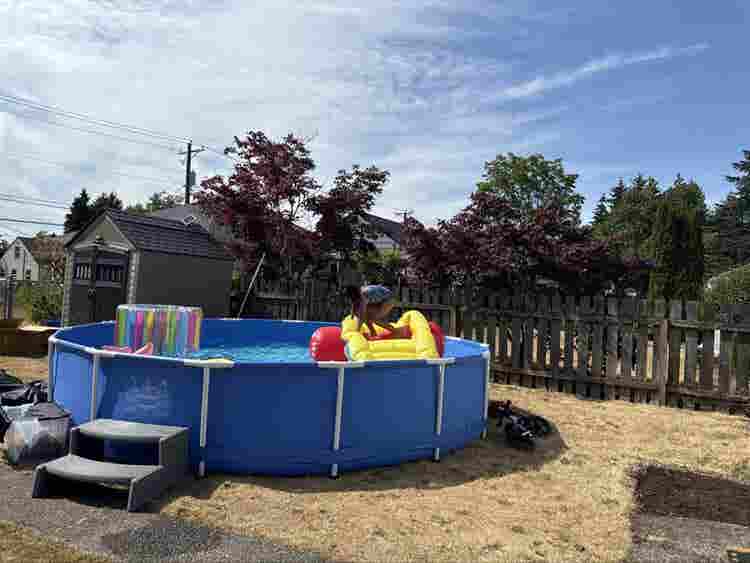 Friendly North Tacoma Neighborhood