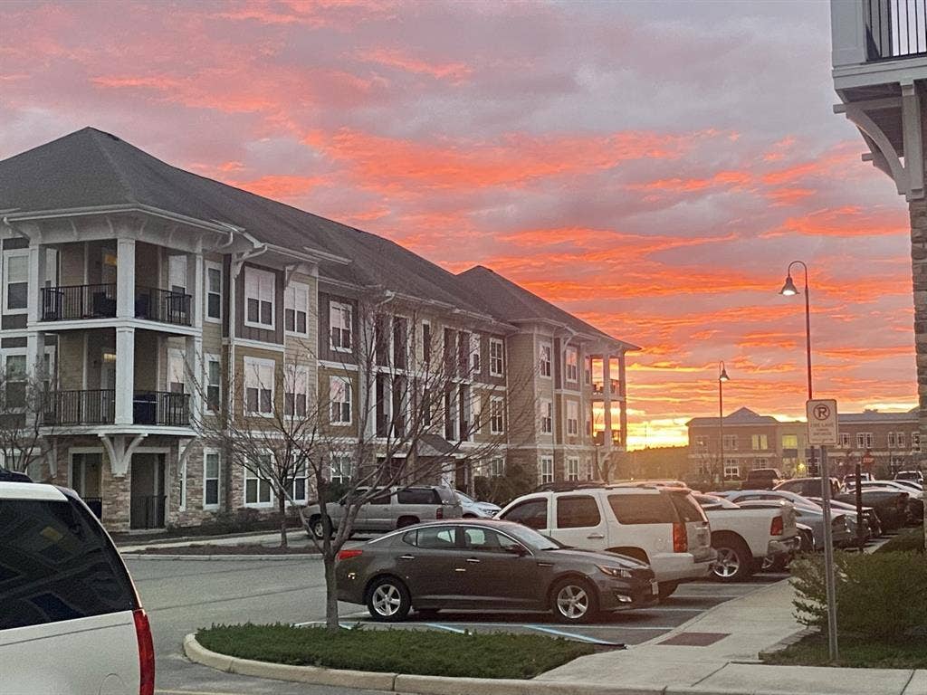 Red Knot - Utilities Included