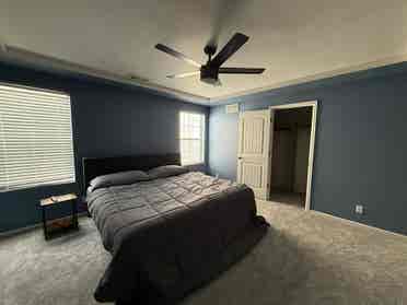 Professional/Luxury Room in GVR