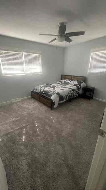 Need a roommate asap!
