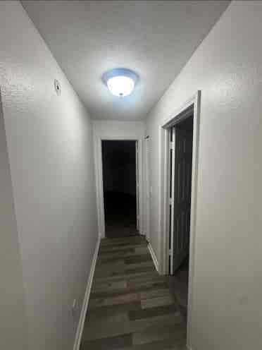 Looking for two roommates