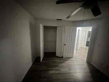Looking for two roommates