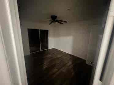 Looking for two roommates