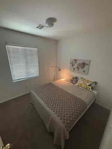 Clean. Organized. Managed by pro