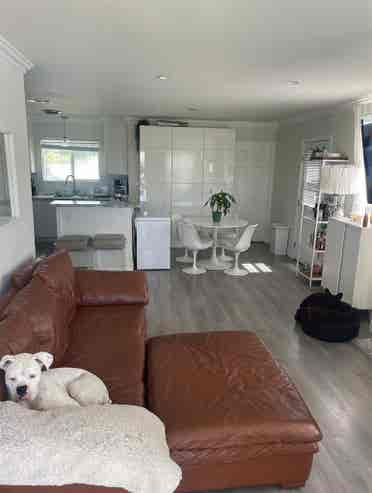Noho Room For Rent Utilities inc!