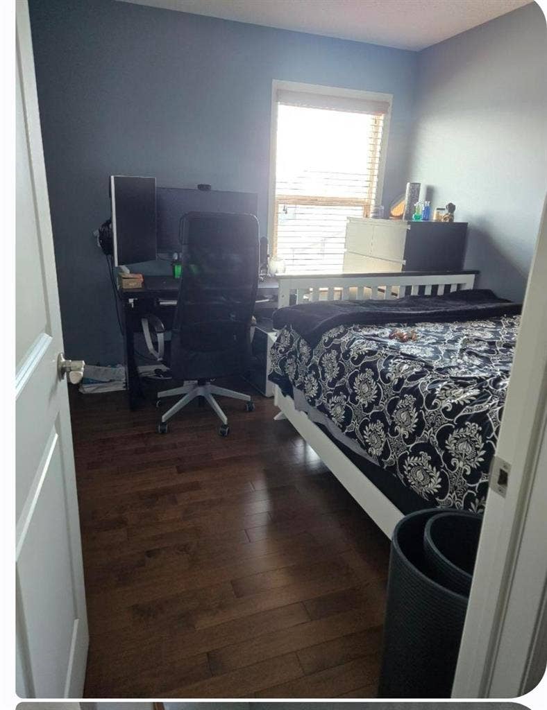 Looking for clean Female or Male