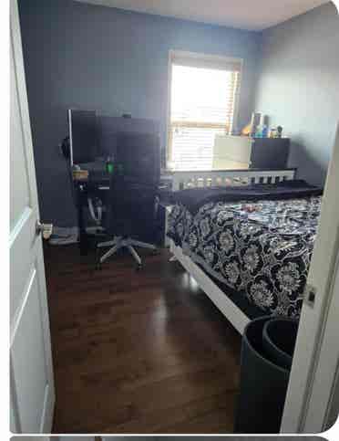 Looking for clean Female or Male