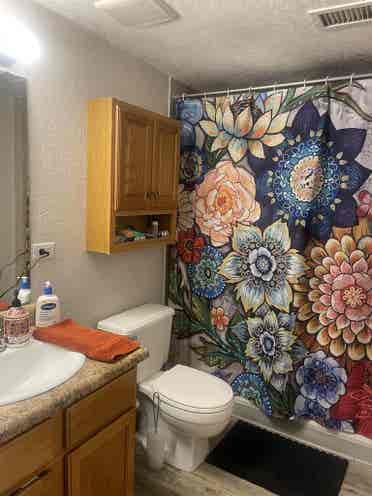 Seeking ASAP roommate - June/July