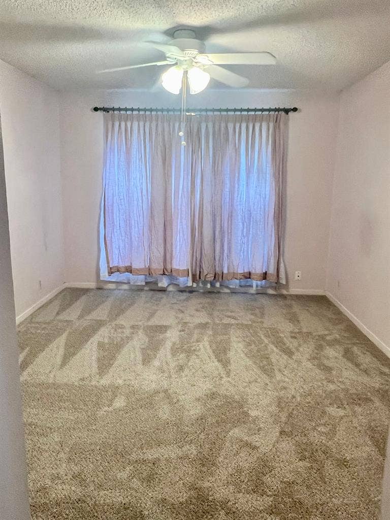 Female roommate, ABP, room is ready
