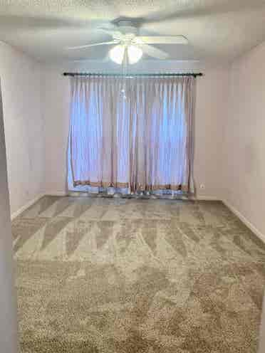 Female roommate, ABP, $