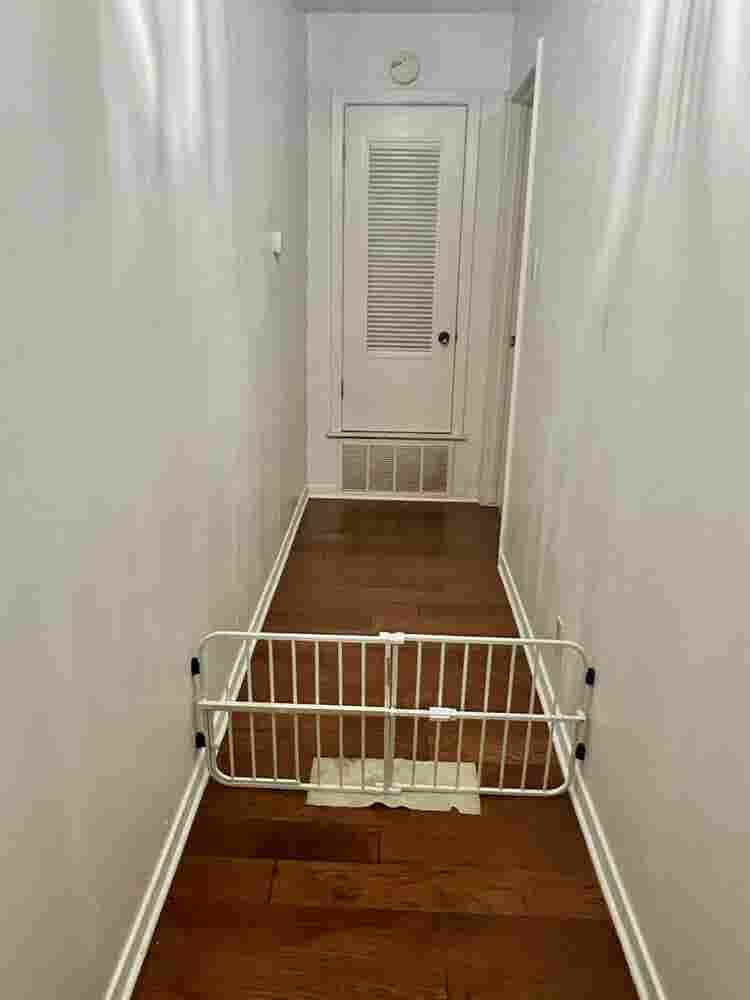 Female roommate, ABP, NW Austin