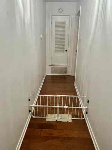 Female roommate, ABP, $