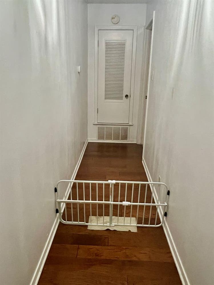 Female roommate, ABP, NW Austin