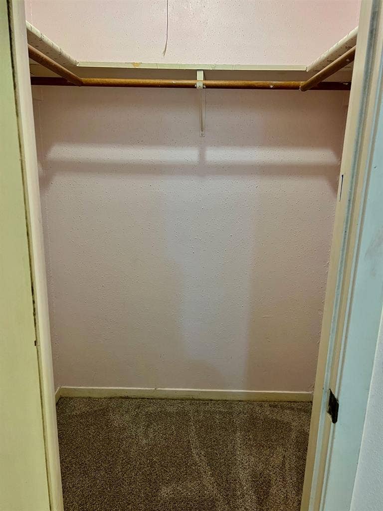 Female roommate, ABP, room is ready