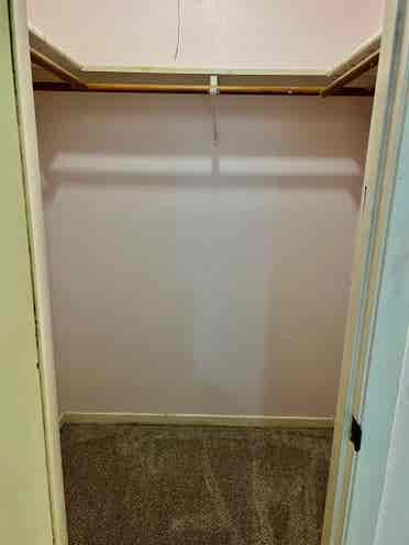 Female roommate, ABP, $