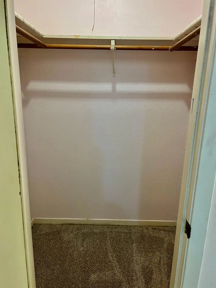 Female roommate, ABP, NW Austin