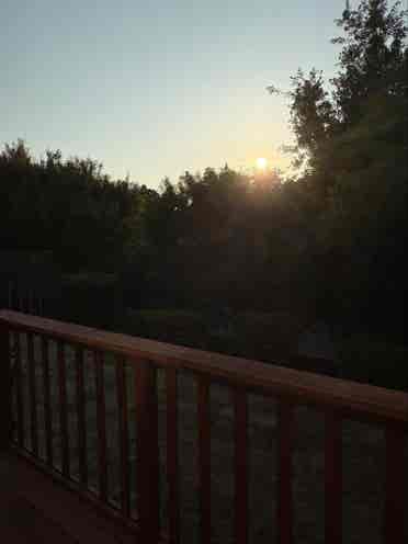 2 Bedrooms for Rent in Cozy 3B Home